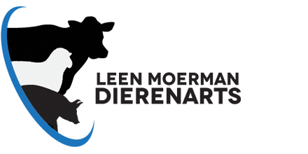 Leen Moerman Dierenarts